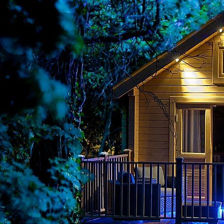 Alum Chine Log Cabin Villa Bournemouth Exterior foto