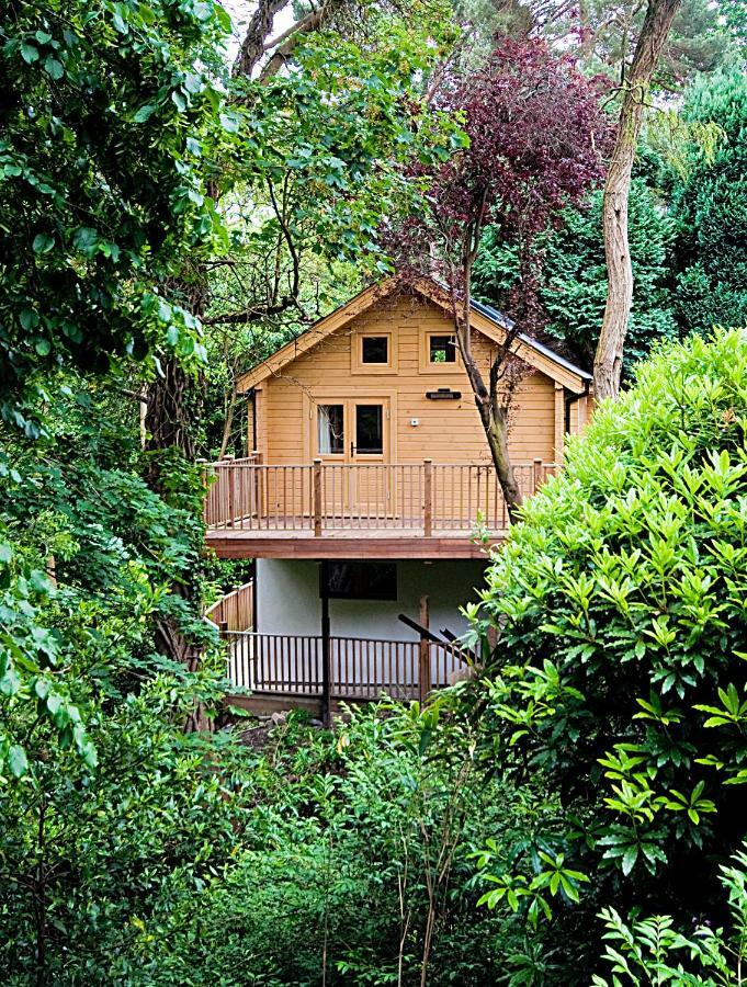 Alum Chine Log Cabin Villa Bournemouth Exterior foto